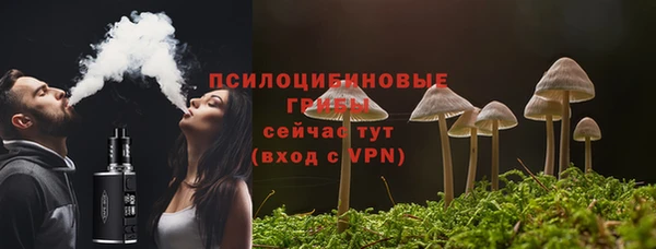 spice Лагань