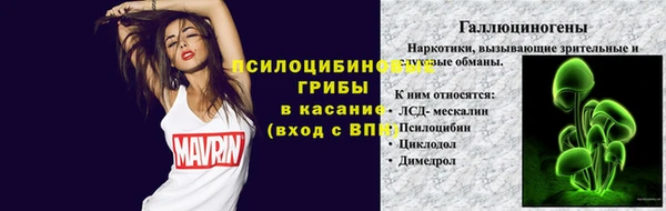 apvp Ладушкин