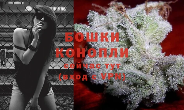 spice Лагань